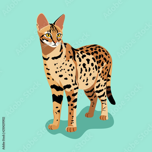 Canvas Print An artstic flat vector illustration of an element spotted cat, resembling a Savannah or Bengal breed, standing alert
