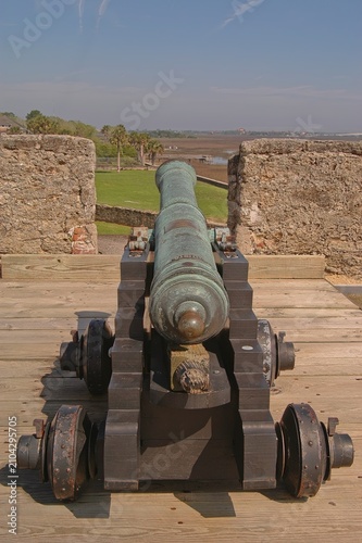 Принти на полотні Cannon