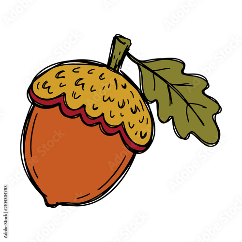 A single brown acorn nut with a green leaf and textured cap drawn in a simple doodle style Vector