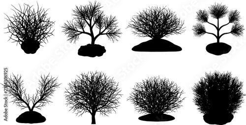 Foto Vector collection of black silhouette bare bushes, leafless winter shrubs, and d