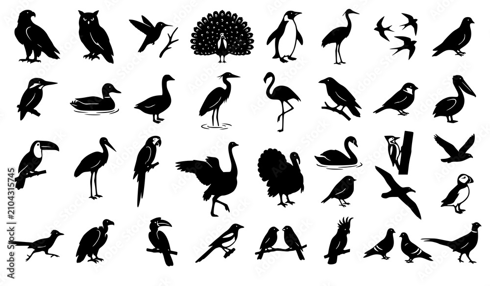 Obraz premium Global Avian Species Silhouette Mega Bundle Featuring Eagle Owl Peacock Penguin Turkey and Flamingo Icons for Nature Zoology and Ornithology Graphic Layouts