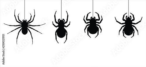 Φωτογραφία Four spiders hanging from threads isolated, vector illustration