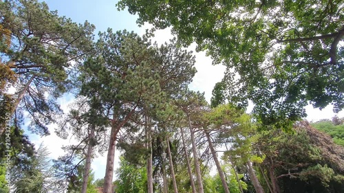 Trees at Local Public Park of Luton City England UK, Footage Was Captured During Walk on July 9th, 2026.