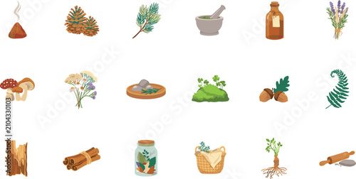 Foto Herbal medicine and witchcraft apothecary vector icon set with wild mushrooms mo