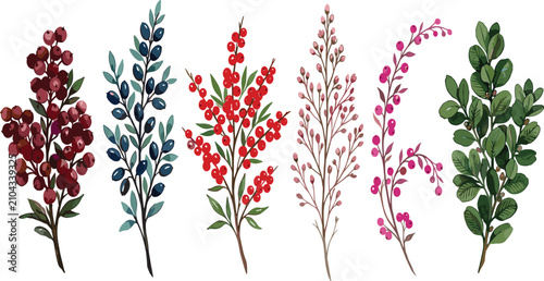 Obraz na płótnie Watercolor botanical winter berry branches collection featuring red holly blue j
