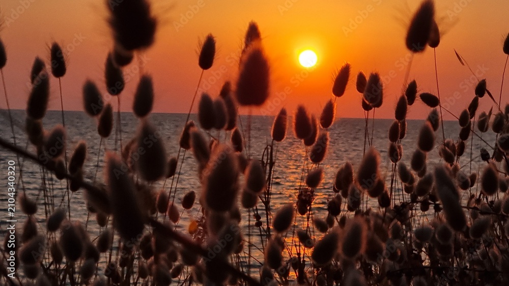 Obraz premium sunset sun orange colors dry grass ligthhouse in mitikas preveza perfecture greece
