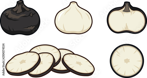 Fotografía Water Chestnut Vector Set Featuring Whole Peeled Half and Slices of Eleocharis D