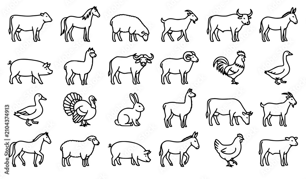 Fototapeta premium Modern Outline Farm Animals Livestock Vector Icon Set