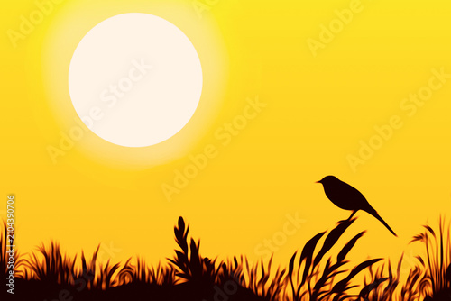 Photography Bird silhouette perched among grass beneath blazing sun during heatwave, vibrant