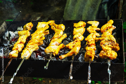 Shish kebab made from marinated pork, lamb, chicken, and fish is cooked over coals in a metal grill. Juicy pieces of meat on skewers and in a grill are covered with fragrant smoke, creating an