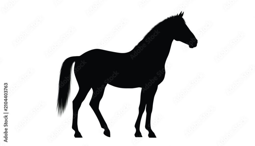 Obraz premium Horse silhouette stands in a poised profile position against a clean and solid white background area.