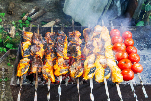 Shish kebab made from marinated pork, lamb, chicken, and fish is cooked over coals in a metal grill. Juicy pieces of meat on skewers and in a grill are covered with fragrant smoke, creating an
