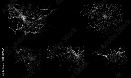 Obraz na płótnie Intricate spider web PNG overlay set with realistic silk patterns isolated on a