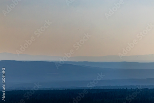 Canvas Print Idre, Sweden A view of a boreal pine wood forest in the Dalarna region