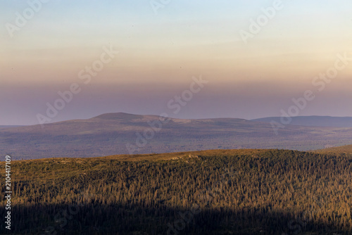 Photography Idre, Sweden A view of a boreal pine wood forest in the Dalarna region