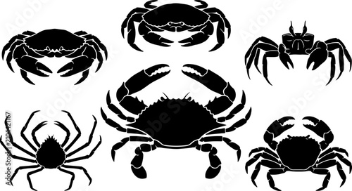 Bild auf Leinwand Variety of black silhouette crabs marine crustaceans collection for graphic desi