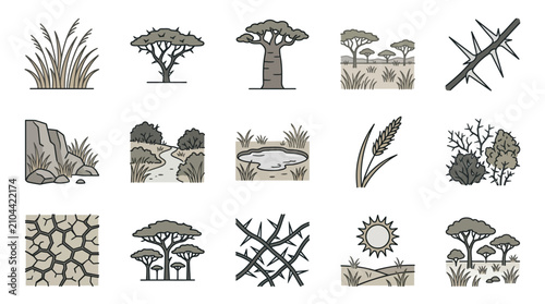Foto Arid environment and savanna vegetation icon set