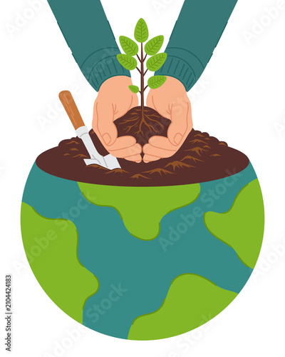 Hands plant a tree.
