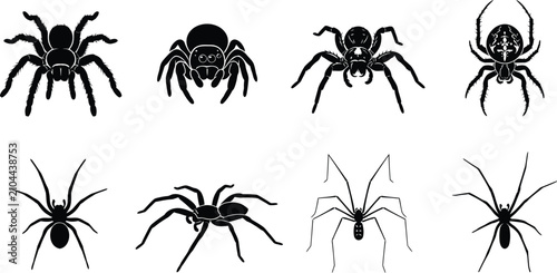 Fotografía Minimalist black spider silhouette vector collection