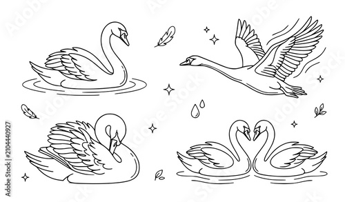 Obraz na płótnie Elegant Swan Collection Featuring Swimming Flying and Graceful Water Bird Hand D