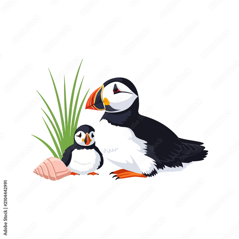 Fototapeta premium Adorable puffins, one adult and a chick, rest near a seashell and sea grass on a white background