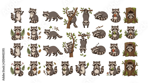 Cute raccoon vector illustration set, adorable woodland animal collection in various poses, playful forest creature graphics, charming wildlife character designs for children's books and nature