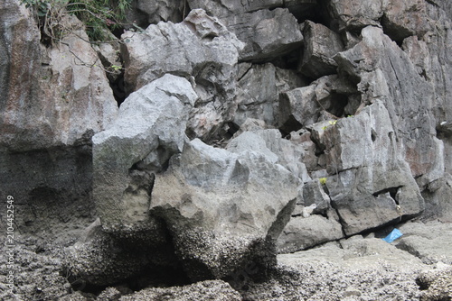 Cracked and weathered rock formation on a shoreline with barnacles.