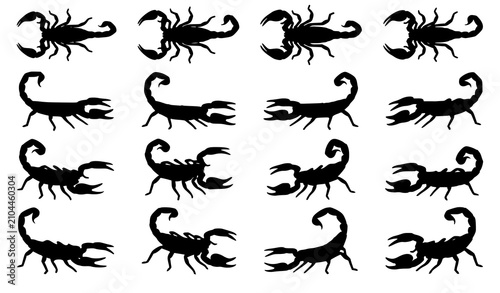 Bild auf Leinwand Scorpion Arachnid Black Silhouette Vector Icon Collection