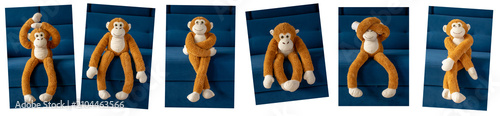 Photography The monkey sits on the couch and shows various emotions, moods, and attitudes