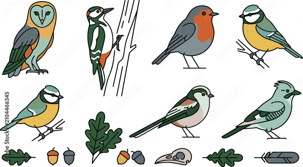 Obraz premium Forest birds and natural woodland elements set featuring owl woodpecker robin and blue tit flat line illustration