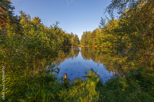 Foto Reflection on the Lake in Schwenninger Moos