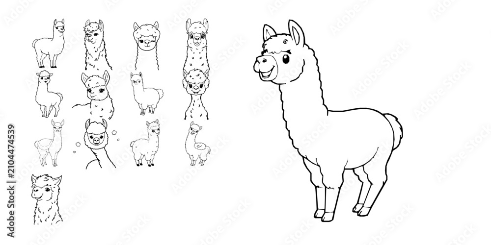 Fototapeta premium Happy Alpaca With Fluffy Wool Simple Black Outline Coloring Page Thick Clean Lines Bold Outlines N Coloring Page