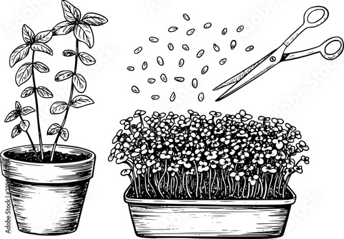 Tableau sur toile Dibujo a mano de una planta en maceta, microvegetales en una bandeja, semillas e