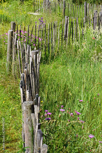 Obraz na plátne decorative wooden fence in a summer meadow