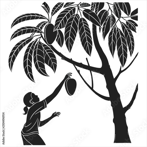 silhouette Mango on white background