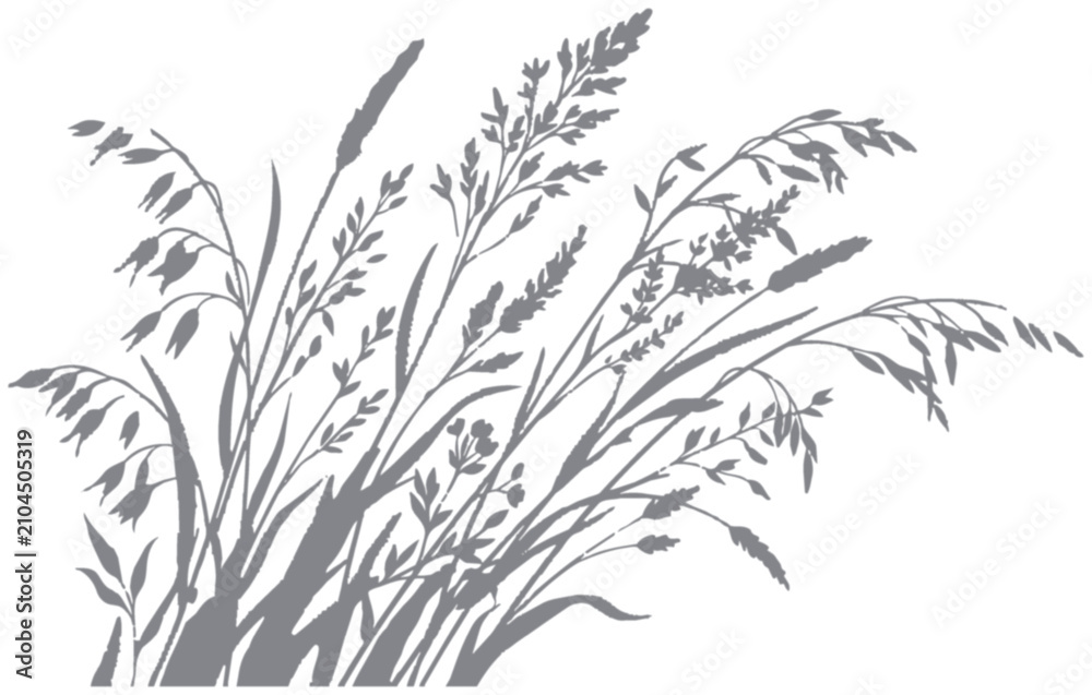 Obraz premium botanical grass silhouette shadow vector with wild meadow plants for elegant natural backgrounds