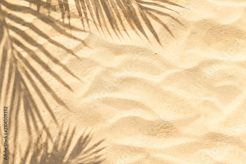 Tropical palm leaf shadow on golden beach sand, summer vacation background with soft sunlight, aesthetic coastal texture for travel and wellness isolated on White Background ai