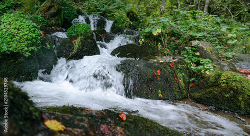 Fotografía Crystal clear forest stream rushing over mossy rocks in untouched woodland