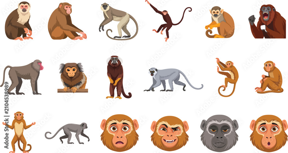 Obraz premium Collection of diverse monkey species in flat vector style featuring various primate poses and facial expressions