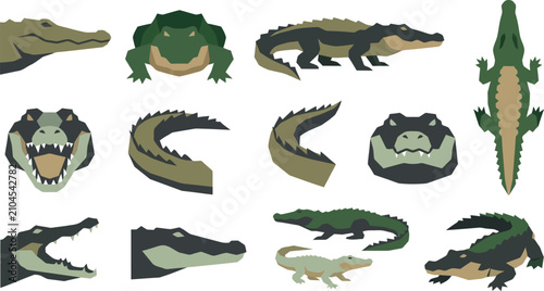 Detailed set of flat vector crocodile illustrations featuring various poses and angles for wildlife design work