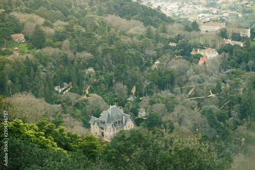 Bild auf Leinwand A picturesque villa emerges from the dense foliage of Sintra, Portugal, where se