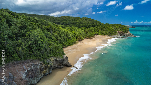 Foto Secluded Sandy Beach Cove Surrounded by Green Forest Cliffs