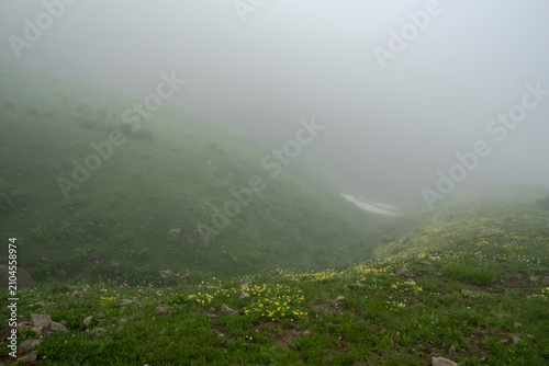 Foto Green alpine valley with blooming wildflowers vanishing into thick morning fog a