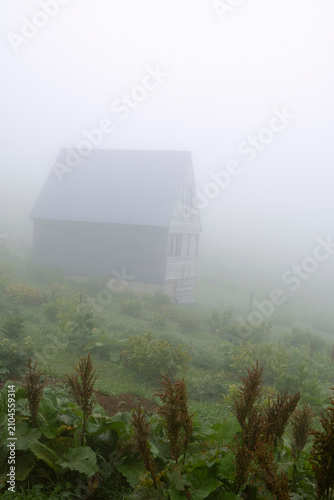 Foto Wooden cabin standing on a green mountain slope shrouded in thick morning fog
