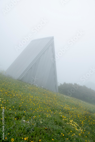 Fotografía Wooden cabin standing on a green mountain slope shrouded in thick morning fog
