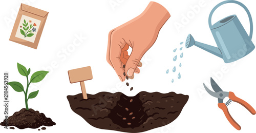 Obraz na plátně Gardening Tools and Planting Process Vector Set with Seed Packet, Watering Can,