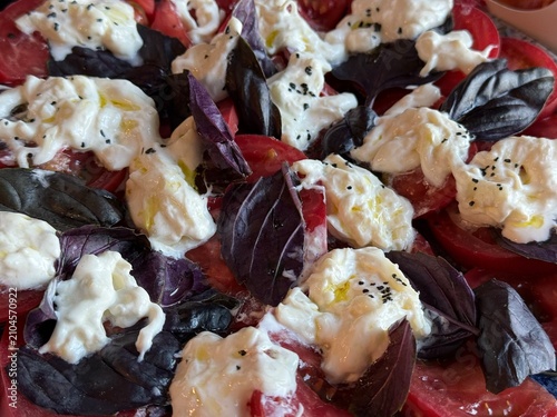 Fresh Burrata Salad with Tomatoes Purple Basil and Olive Oil Close Up
