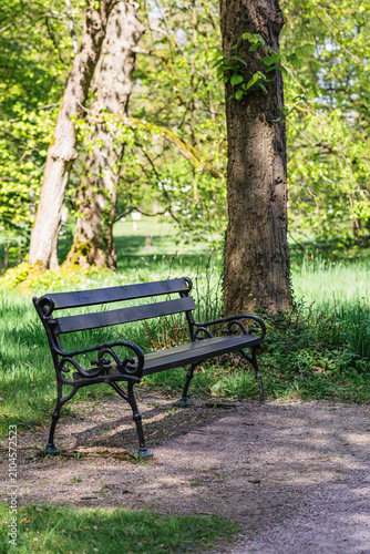 Beautiful black bench in the shade in a park