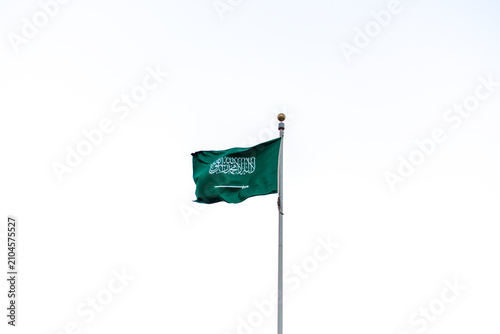 Cuadro en lienzo Saudi Arabian National Flag Waving Against White Sky