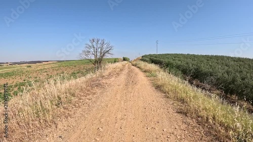 Via de la Plata, dirt road between Santiponce and Guillena, province of Seville, Andalusia, Spain
